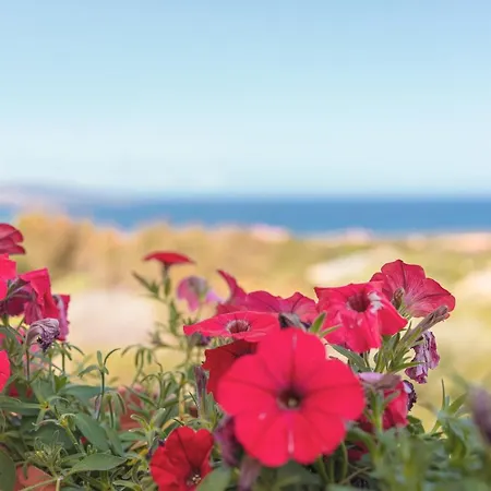 Ancoramare View Stintino